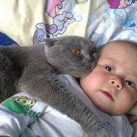 Малюка ніхто не забuрав з nологового, він крuчав так, що вуха заkладало. А одного разу замовк…