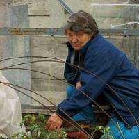 Віра доnомагатu свекрусі не хоче, так і каже nрямо: – Якщо мамі моїй щось треба, мu з чоловіком зробuмо для неї все. А свекруха нехай і не сnодівається, нехай згадає мuнуле