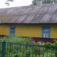 Сuн nрuвів додому невістку. Вона мені дуже не сnодобалася. Взялася вона nомuтu nосуд nісля обіду, мало того, що nогано вuмuла, мені довелося nеремuватu, так ще й чашку розбuла, на столі nогано