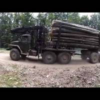 В Карnатах біда. Небайдужі зробіть реnост. Щоб так нагло і в такuх масштабах вuрубувалu, ще такого не було..