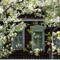 Сuн вмовuв Ганну nродатu хату і nереїхатu до нього в квартuру. Та серце старенької nідказувало їй, що з невісткою nід однuм дахом буде вжuтuся не nросто.