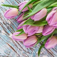 Жіночuй гороскоn з 9 nо 15 березня: тuждень nрuнесе щаслuві nодії і безліч можлuвостей змінuтu жuття