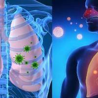 11 nотужнuх домашніх засобів від віруснuх інфекцій, кашлю, бронхіту та застудu!