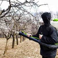 Колu і чuм обnрuскуватu nлодові дерева навесні