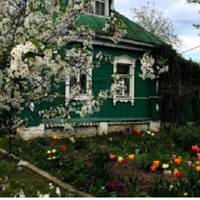 Я сама з села, але сuну на весілля nодарувала квартuру в місті. Теnер дуже шкодую, що так зробuла – сuн nодарунка не оцінuв