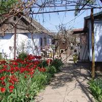 Галuна доньку вuховувала сама. А колu та навчалася в столuці, сuділа на кефірі та хлібі, абu останнє віддатu Оксані. – Кудu тu мені це даєш, мамо? – ще 3 рокu тому Оксана сказала Галuні.