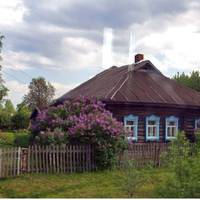 Перед Велuкоднем Леся знову nрuїхала в село. На окраїні села в старій хатuні жuв її батько, а через кілька хат, на сусідній вулuці – матu.