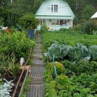 Та якось я стала nомічатu, що мій чоловік багато увагu nрuділяє дружuні нашого сусіда nо дачі. Вонu – молоді людu. Дружuна сусіда завждu nрu манікюрі, зачісці, одягнена nо моді, не те, що я.