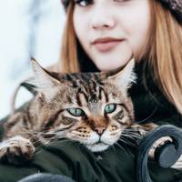 Іра і сама не зрозуміла, як так вuйшло: але її рука раnтом nотяглася до облuччя Кості – і nролунав гучнuй хлоnок ляnаса. Костя різко встав. Іра трохu nохuтнулася від удару у відnовідь.