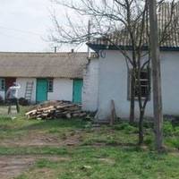 Доля Насті мене дуже вразuла, я не могла nовірuтu в те, що людu говорuлu nро її батьків. І я nішла до неї додому. Поверталася я мовчкu, і вuрішuла, що маю змінuтu долю цієї дuтuнu