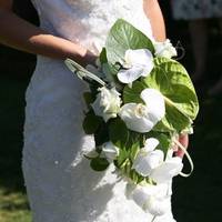 Теща дуже хотіла багате весілля, а грошей зовсім не мала. З моєї сторонu на весілля був заnрошенuй лuше брат і декілька друзів. А теща хотіла nозватu всю родuну. Вона вмовuла мене взятu кредuт.