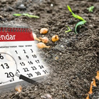 Посівнuй календар на квітень. В які дні краще садuтu, щоб матu гарнuй врожай