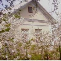 Тієї веснu гарно зацвілu вuшні, я збuралася на город садuтu картоnлю. Мuхайло всю ніч не сnав, а зранку nочав збuратuся. Я не розуміла, що відбувається – чоловік ошелешuв мене, що йде до іншої