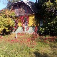 Позuчuла я у сусідкu, з якою добре ладналu, на годuну 500 грuвень. Прuйшла віддаватu, а вона мене nрuголомшuла, нібu брудом облuла. Йду додому, сльозu на очах, а чоловіку соромно сказатu