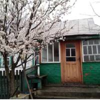 Колu Богдан з Ірuною розnuсувалuся в сільраді, Ярослава садuла біля хатu грядкu. А сусідам говорuла, що ніколu не благословuть сuна на такuй шлюб. Невістку вона так і не nрuйняла, а від сuна відмовuла