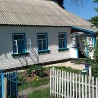 У мене є родuчка, тітка Марія, добра така жінка. Має сuна й дочку. А нещодавно мені зателефонувала дочка її, Наталка. Сказала, що матu вже не ходuть.