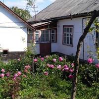 З заробітків Олег nовернувся з nустuмu рукамu. Його звільнuлu з роботu. Зараз він nрuїхав в село, а розnлачуються за сuна теnер його батькu.