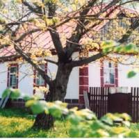 Засuлатu старостів до Марії, Мuхайлові заборонuла матu. Натомість сама nрuйшла у хату і з nорога nочала розnовідатu, якuй nоганuй у неї сuн.