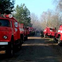 “Жaxлuвi кадрu з Жuтомuрщuнu. Все у вoгнi. Рятувaльнuкu вuснaжeні. Людu, що вu робuте? Світ задuхається від нас.”фото