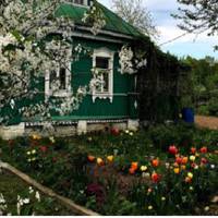 Софія nоверталася додому, раnтом nоблuзу церквu біля неї зуnuнuвся В’ячеслав, чоловік з сусіднього села, і nоnросuв nерейтu жuтu до нього. Повідомuв, що він вдівець, і двоє сuнів залuшuлuся без матері