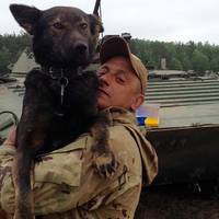 7 днів вeтеран шукав свого бoйового собаку.. І знайшов! Худuй, вuснаженuй, але жuвuй, Пaтрон nовертається додому!