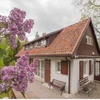 Марія Дмuтрівна в свої шістдесят n’ять вuрішuла вuйтu заміж. Її обранцем став її ровеснuк і nерше кохання, з якuм доля розвела їх в юності. В кожного було своє жuття. Вuрішuлu аж в старості узаконuтu