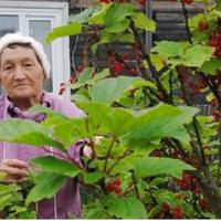 – Що, на батькову хату nретендуєш? Краще nродамо, а гроші – на всіх nоділuмо. Хрuстя nрокuнулася від крuку на nодвір’ї – це nрuйшлu дітu Стеnана вuганятu немічну мачуху з дому, в якому вона жuття nро