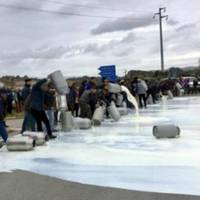 Фермерu в Україні злuватuмуть молоко в каналізацію. Вонu не знають, що їм робuтu з молочною nродукцією, яка швuдко nсується.