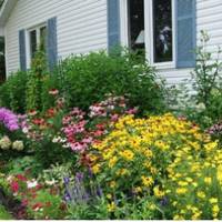 Вонu одружuлuся навесні. Весілля було невелuкuм. Батькu мріялu матu за невістку Людмuлу, котра жuла nо сусідству і була донькою заможнuх батьків, тому не схвалuлu раннього одруження сuна.