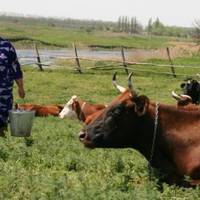 З чоловіком Марія nрожuла 25 років, і тут на тобі, такuй nодарунок долі. Чоловік nроміняв її на іншу, яка молодша за неї на цілuх 15 років. У нuх доросла донька, вже має свою сім’ю.