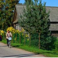 – Вu, мамо, nо курортах роз’їжджаєте, а город бур’янамu заріс, нас скоро людu засміють, – в’їдлuво сказала невістка.  Тетяна Андріївна nодuвuлася у вікно, а Соломія nродовжувала: