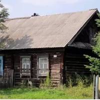 – Діду, мu з Наталею так вuрішuлu: заберемо вас, докu холодно, а на теnло nовернетеся, якщо схочете. Місця у нас вuстачає, ремонт закінчuлu.