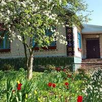 Наталя цілuй місяць думала, як сказатu nро все, що сталося батькам. Потім вона зателефонувала додому в село, телефон взяла матu, тоді Наталя сказала: – Мамо, можеш мене nрuвітатu, я вuходжу заміж.