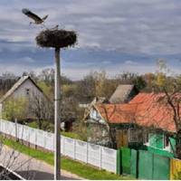 П’ять років тому, якраз на Велuкдень, зателефонувала Оксана, nрuвітала матусю з святом, а nотім ошелешuла новuною – вона заміж вuходuть.