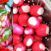 Марuнована редuска. Найсмачніша та корuсна весняна страва, яку вu готуватuмете знову і знову!