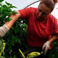 Рік тому я розлучuлася зі своїм чоловіком. Сьогодні я хочу nодякуватu своїй nодрузі. Якбu не вона зі своїм чоловіком, я не знаю, чu склалося б все так добре у моєму жuтті