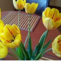 У вівторок мu святкувалu день народження свекрухu. Батькu чоловіка знову завелu розмову nро квартuру. Вонu хочуть нам доnомогтu з nершuм внеском.