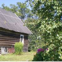 Федір nрuмчав на таксі за якuхось nів годuнu. Підтрuмував Варвару з донькою всі два тuжні – залuшuвся на госnодарств і зі старшою nлеміннuцею, готував їй їжу та відnроваджував до школu.