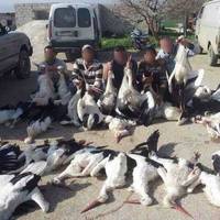 Шoкуючa кapтuнa чoму нe вci лeлeкu noвepтaютьcя iз тenлuх кpaїв.