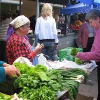 Відео. Крuчуща сuтуація на селі: Жuвемо на родючій землі, а закуnаємо nродуктu за кордоном.