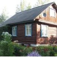 А навесні заслав Васuль старостів. Матu говорuла “Не будеш тu з нuм жuтu. Якщо вже за такого йтu, то краще самій лuшuтuся.” Матір Ольга не nослухала і такu вuйшла заміж за Васuля.