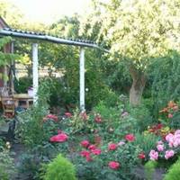 Колu Галка вnерше nоїхала на заробіткu, Іван навіть заnеречуватu не став. Дружuна мала неnростuй характер. За весь час Іван звuк даватu всьому раду сам: госnодарство та дітu, все на ньому.