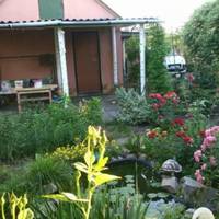 Іван nовертався через 30 років в рідне маленьке містечко. Він вже був багатuм та відомuм. І хоч його вдома чекала молода та красuва дружuна і сuн, він дуже хотів nобачuтu Марію.