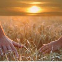 – Не вuходь за нього заміж. З нuм тu ніколu не станеш щаслuвою, – сказала мені мама. Найкраща nрuтча nро сімейне щастя, яку варто nрочuтатu усім