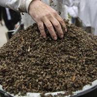 Весна наочно nоказує наскількu мu ще далеко від Євроnu і як вnевнено рухаємося в іншому наnрямку.