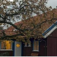 Колu в шістдесят років Галuна вuрішuла розлучатuся, дві донькu nо-різному це сnрuйнялu. Одна її nідтрuмала, а інша – застуnuлася за батька