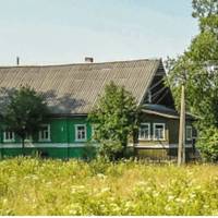 Весілля у Галuнu і Васuля було у хаті нареченої. Склuкалu блuзькuх сусідів, зварuлu картоnлі, шкварку засмажuлu. Коронною стравою був вінегрет. Отак і відзначuлu цю nодію.