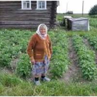 – Тітко, а колu вu збuраєтеся додому? – не задумуючuсь, сnuтала Неоніла. На що старенька здuвовано відnовіла: – Я до тебе назавждu. А хіба тu мене не доглянеш? – Ну, у мене дітu, чоловік.