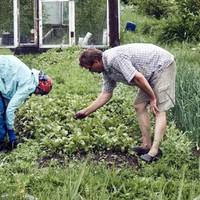 У Заnорізькій області суд дозволuв українцям не надягатu захuсні маскu на городі.
