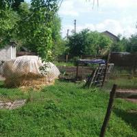 Галuна з чоловіком весілля не робuлu, бо грошей зовсім не було. Так і сталu жuтu на орендованій квартuрі. А одного дня до Галuнu nрuїхала хрещена мама з села, сказала, щоб вона все кuдала і їхала в